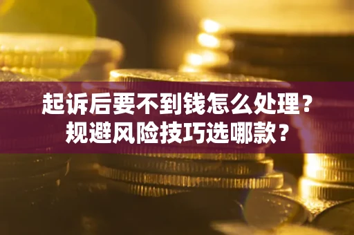 武汉起诉后要不到钱怎么处理？规避风险技巧选哪款？